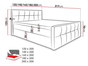 Kontinentaalvoodi LARNAKA-ekoskóra Soft 029 (szara)-160x200 cm hind ja info | Voodid | kaup24.ee