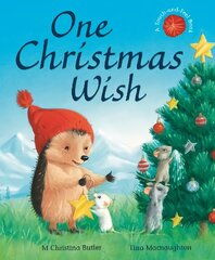 One Christmas Wish hind ja info | Väikelaste raamatud | kaup24.ee