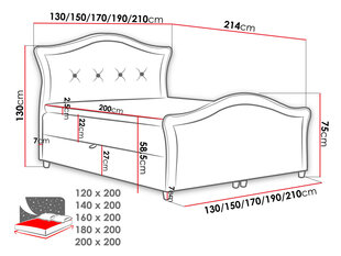 Кровать континентальная MASALA LUX-Magic Velvet 2207-160x200 см цена и информация | Кровати | kaup24.ee