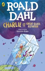 Charlie and the Great Glass Elevator hind ja info | Noortekirjandus | kaup24.ee