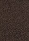 Hanse Home vaip Nasty Brown, 80x300 cm hind ja info | Vaibad | kaup24.ee