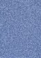 Hanse Home vaip Nasty Blue, 80x150 cm hind ja info | Vaibad | kaup24.ee
