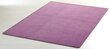 Vaip Hanse Home Nasty Purple, 80x150 cm hind ja info | Vaibad | kaup24.ee