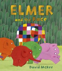 Elmer and the Race цена и информация | Книги для малышей | kaup24.ee