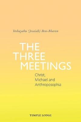 Three Meetings: Christ, Michael and Anthroposophia hind ja info | Usukirjandus, religioossed raamatud | kaup24.ee