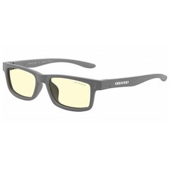 Gunnar Cruz Kids, Amber Glas hind ja info | Prillid | kaup24.ee