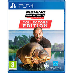 Fishing Sim World Pro Tour Collector's Edition PS4 hind ja info | Arvutimängud, konsoolimängud | kaup24.ee