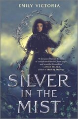 Silver in the Mist Original ed. цена и информация | Книги для подростков и молодежи | kaup24.ee