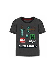 Minecraft TNT poiste T-särk - Hall hind ja info | Poiste särgid | kaup24.ee