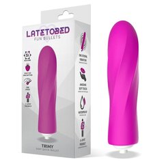 Vibraator Latetobed Trimy ‘Bullet’ silikoonist, roosa hind ja info | Vibraatorid | kaup24.ee