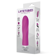 Vibraator Latetobed Trimy ‘Bullet’ silikoonist, roosa hind ja info | Vibraatorid | kaup24.ee