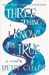 Three Things I Know Are True цена и информация | Книги для подростков и молодежи | kaup24.ee