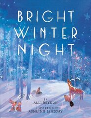 Bright Winter Night цена и информация | Книги для подростков и молодежи | kaup24.ee