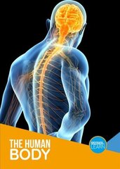 Human Body hind ja info | Noortekirjandus | kaup24.ee