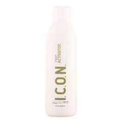 Гель для подчеркивания цвета Ecotech Color I.c.o.n. (1000 ml) (1000 ml) цена и информация | Краска для волос | kaup24.ee