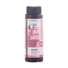 Poolajutine värv Shades Eq 09nw Redken, 60 ml hind ja info | Juuksevärvid | kaup24.ee