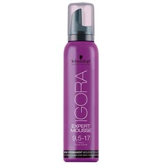 Semi (Semi-Permanent Mousse Color) 100 ml hind ja info | Juuksevärvid | kaup24.ee