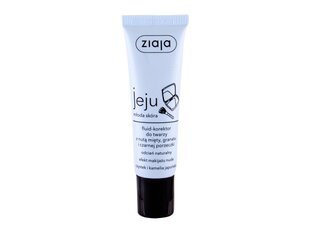 Ziaja Jeju korrektor 30 ml, Natural hind ja info | Jumestuskreemid, puudrid | kaup24.ee