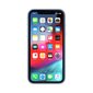 Incase iPhone XR цена и информация | Telefoni kaaned, ümbrised | kaup24.ee