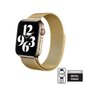 Crong Milano teras Apple Watchile 42/44/45mm, kuldne hind ja info | Nutikellade ja nutivõrude tarvikud | kaup24.ee