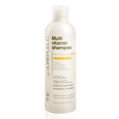 Šampoon Multi-Vitamin The Cosmetic Republic Multi Vitamin, 200 ml) hind ja info | Šampoonid | kaup24.ee