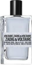 Zadig & Voltaire This Is Him! Vibes Of Freedom - EDT цена и информация | Мужские духи | kaup24.ee