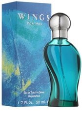 Giorgio Beverly Hills Wings for Men EDT 100ml hind ja info | Giorgio Beverly Hills Kosmeetika, parfüümid | kaup24.ee