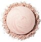 Catrice Glow Lover Brightener - Vyživující rozjasňovač 8 g 010 Glowing Peony #cfb1ae hind ja info | Päikesepuudrid, põsepunad | kaup24.ee