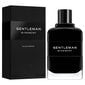 Givenchy Gentlemen Ep 100 Vap hind ja info | Meeste parfüümid | kaup24.ee