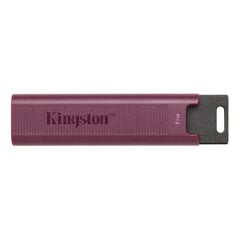 USВ-флешь память Kingston DTMAXA/1TB цена и информация | Kingston Компьютерная техника | kaup24.ee