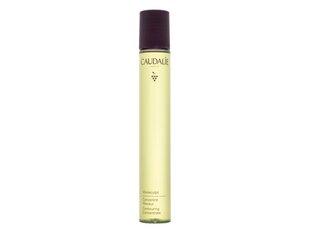 Укрепляющее концентрированное масло для тела Caudalie Vinosculpt (75 ml) цена и информация | Антицеллюлитные кремы, средства для упругости кожи | kaup24.ee