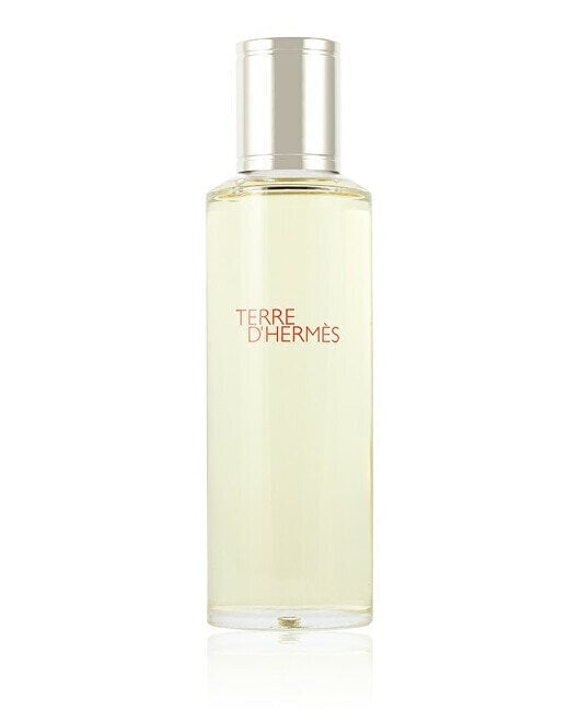 Hermès Terre D'hermes Eau De Toilette Spray Refill 125ml цена и информация | Meeste parfüümid | kaup24.ee