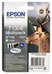 Epson DURABrite Ultra Ink  T1306 Cartrid цена и информация | Картриджи для струйных принтеров | kaup24.ee