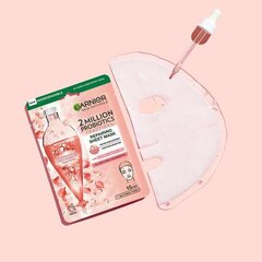 Taastav tekstiilmask probiootiliste fraktsioonidega Skin Natura ls (Repairing Sheet Mask) 22 g цена и информация | Маски для лица, патчи для глаз | kaup24.ee