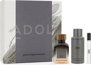 Adolfo Dominguez Agua Fresca Ebano Salvia Edp Spray 120ml Sets Nav22 hind ja info | Meeste parfüümid | kaup24.ee