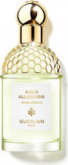 Guerlain Aqua Allegoria Eau De Toilette Herba Fresca 125ml Spray цена и информация | Женские духи | kaup24.ee