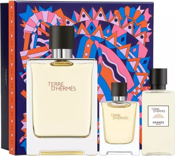 Hermès Terre D´ Hermes Edt Spray 100ml Set hind ja info | Meeste parfüümid | kaup24.ee