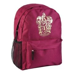 Harry Potteri koolikott, 41 cm hind ja info | Spordikotid, seljakotid | kaup24.ee