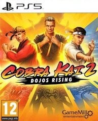 Видеоигра для Switch Just For Games Cobra Kai 2: Dojos Rising цена и информация | Компьютерные игры | kaup24.ee
