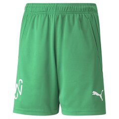 Poiste lühikesed püksid Puma Neymar JR Copa Shorts Jr Jelly Bean 60557107, roheline цена и информация | Шорты для мальчиков | kaup24.ee