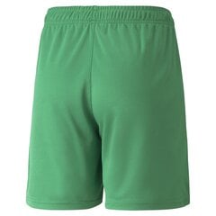 Poiste lühikesed püksid Puma Neymar JR Copa Shorts Jr Jelly Bean 60557107, roheline цена и информация | Шорты для мальчиков | kaup24.ee