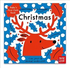 Tiny Little Story: Christmas цена и информация | Книги для малышей | kaup24.ee