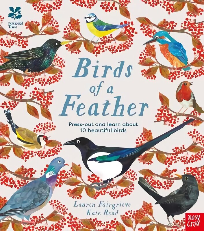 National Trust: Birds of a Feather: Press out and learn about 10 beautiful birds цена и информация | Noortekirjandus | kaup24.ee