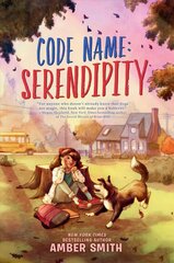 Code Name: Serendipity hind ja info | Noortekirjandus | kaup24.ee