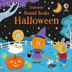 Halloween Sound Book цена и информация | Книги для малышей | kaup24.ee