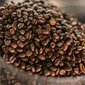 Kohvioad Dallmayr Espresso d`Oro, 1kg цена и информация | Kohv, kakao | kaup24.ee