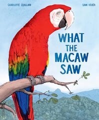 What the Macaw Saw hind ja info | Väikelaste raamatud | kaup24.ee