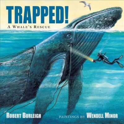 Trapped!: A Whale's Rescue hind ja info | Noortekirjandus | kaup24.ee