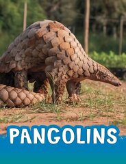 Pangolins цена и информация | Книги для подростков и молодежи | kaup24.ee