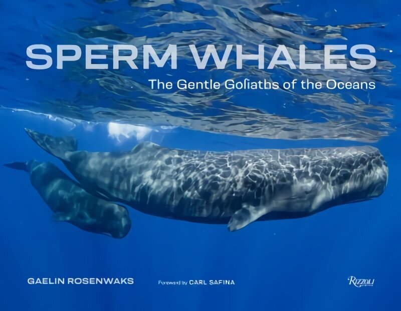 Sperm Whales: The Gentle Goliaths of the Ocean hind ja info | Fotograafia raamatud | kaup24.ee